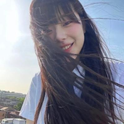 消失的大象